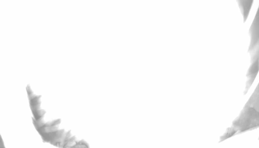 Reolink Camera Two_01_Reolink Home Hub One_20250112185812.jpg